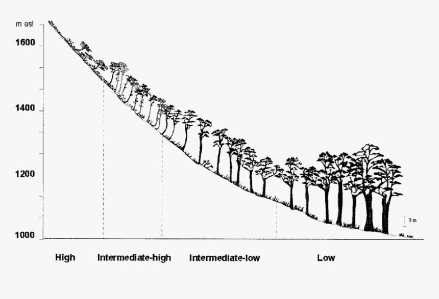 Illustration, HD Png Download