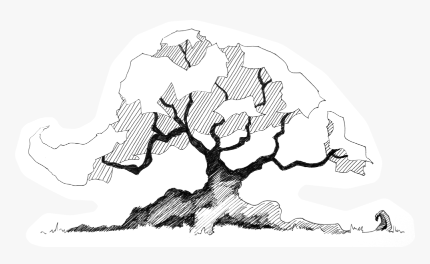 Trees In Plan Png , Png Download - Line Art, Transparent Png
