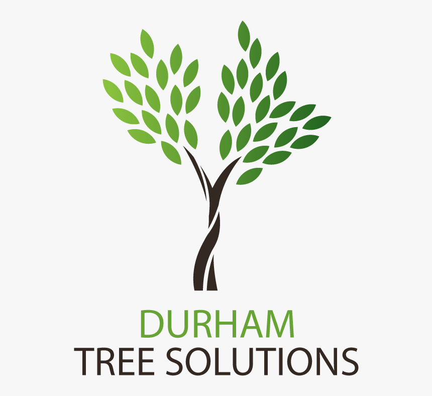 Durham Tree Solutions - Nae Grand Challenge Scholar, HD Png Download