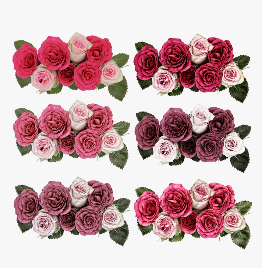 Roses, Flowers, Rose Flower, Pink, Garden, Summer - Rose, HD Png Download