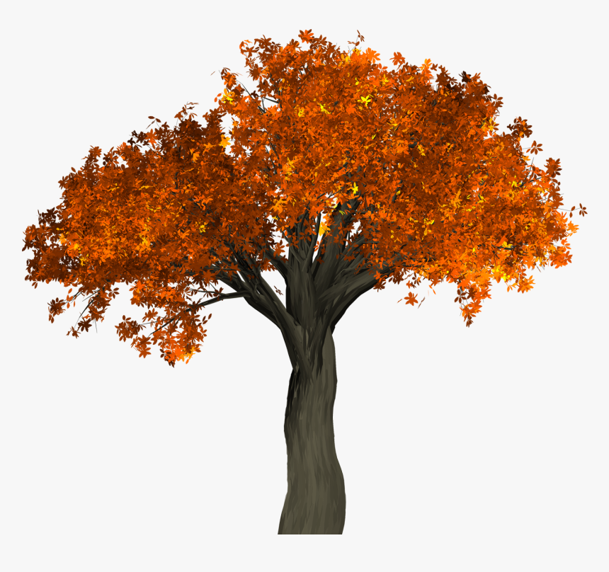 Autumn Tree Png Transparent Image - Hd Tree Images Png, Png Download