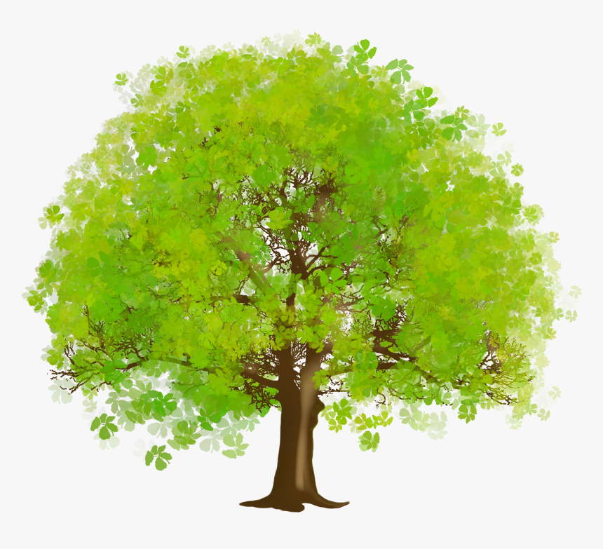 Tree Png Free Download - Tree Clipart, Transparent Png