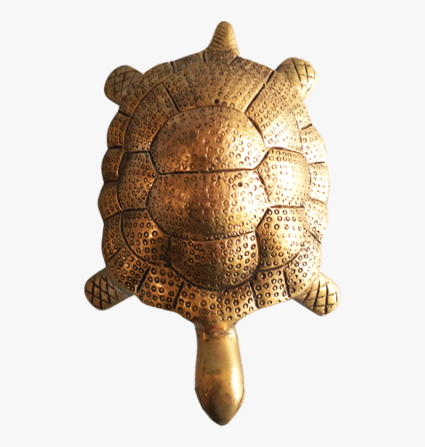 Auspiciousturtle Brass Statue, 5 X 7 Inch, Vgo - Tortoise, HD Png Download