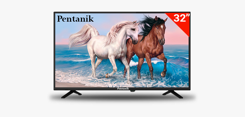 Pentanik Basic 32 Inch Led Tv - Horses On The Beach Painting, HD Png Download