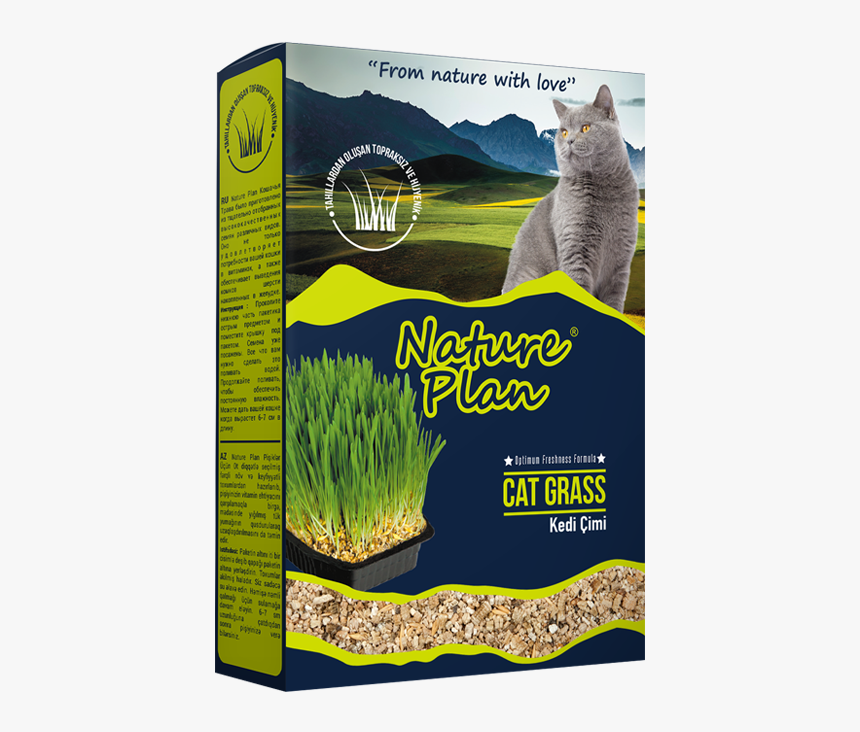 Nature Plan Cat Grass, HD Png Download