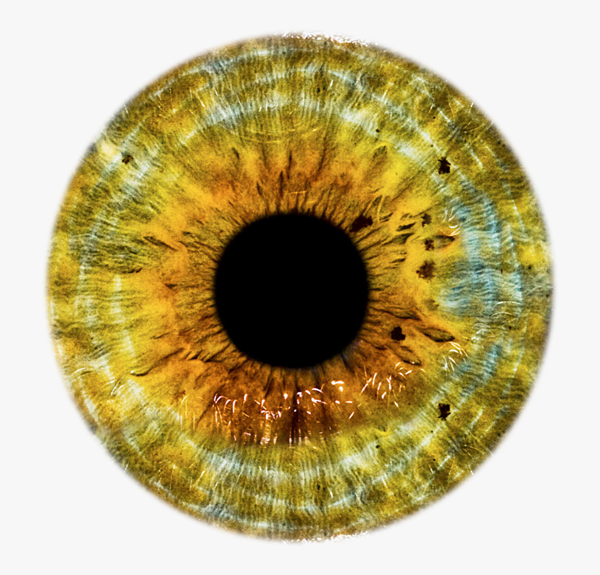 Transparent Eye Ball Png - Gray Eye Lens Png, Png Download