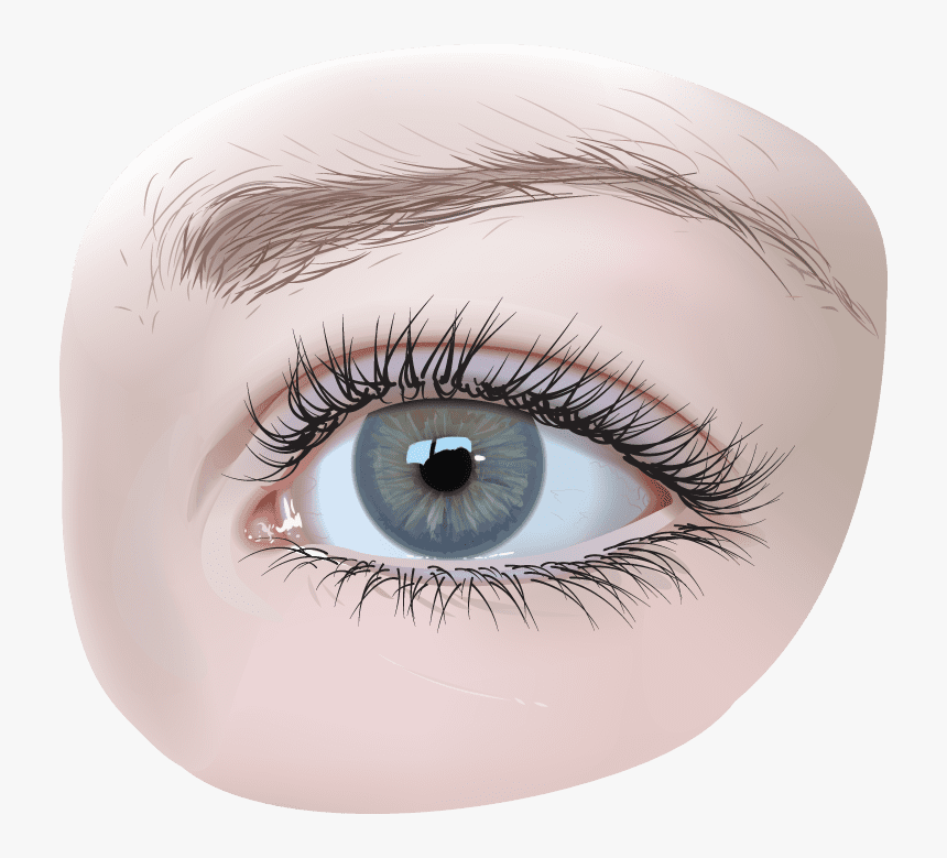 Eye - Eye Png, Transparent Png