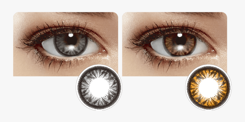 Miacare Confidence Monthly, HD Png Download