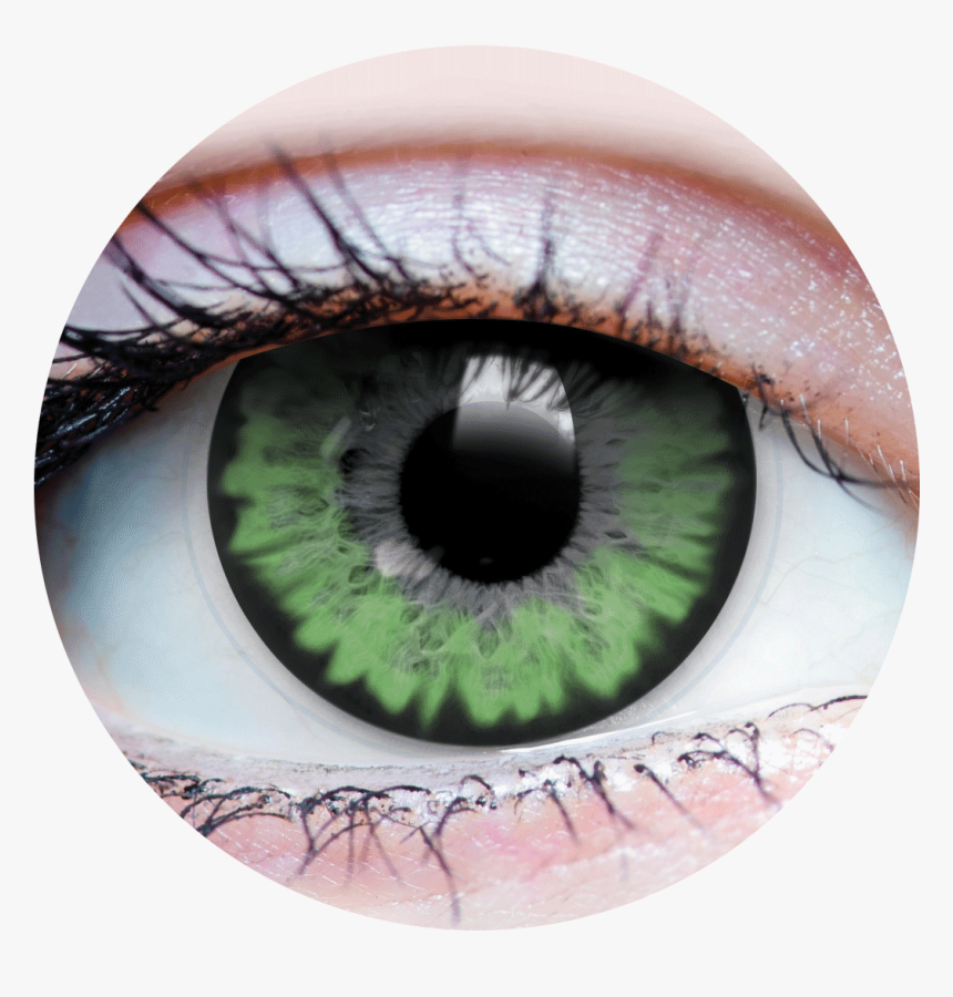 Contact Lenses Jurassic, HD Png Download