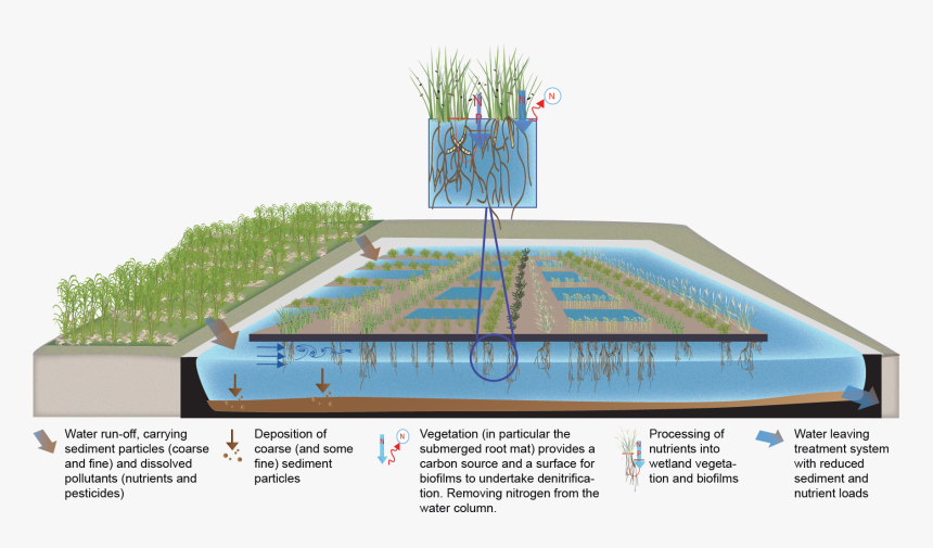 Floating Wetland Design, HD Png Download