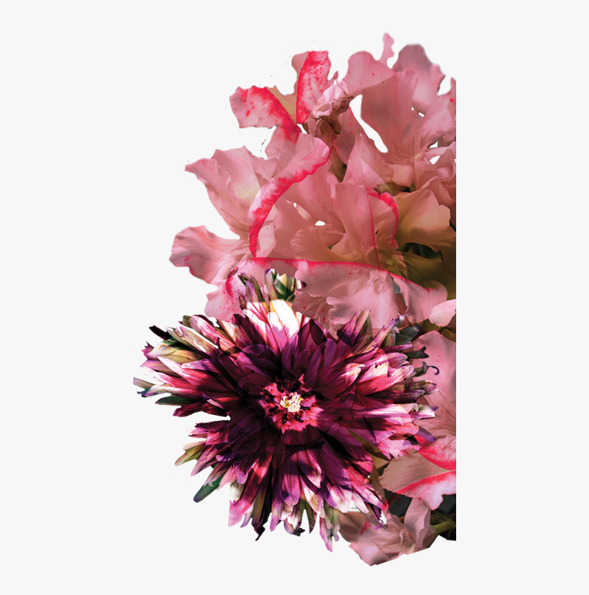 Bouquet, HD Png Download
