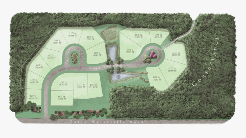 Grass, HD Png Download