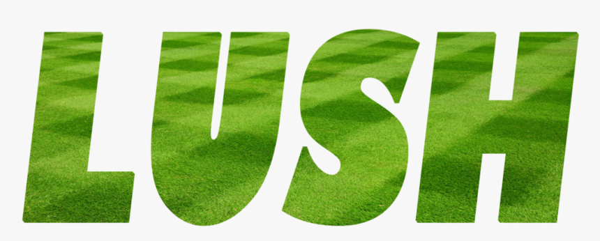 Lawn, HD Png Download