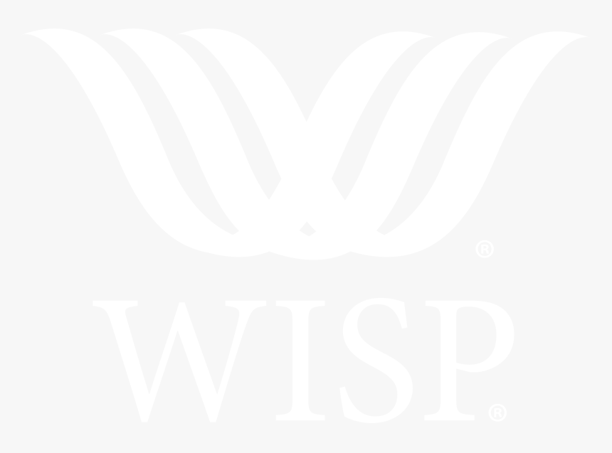 The Wisp Cleaning System Giveaway - Bodega Alta Vista, HD Png Download
