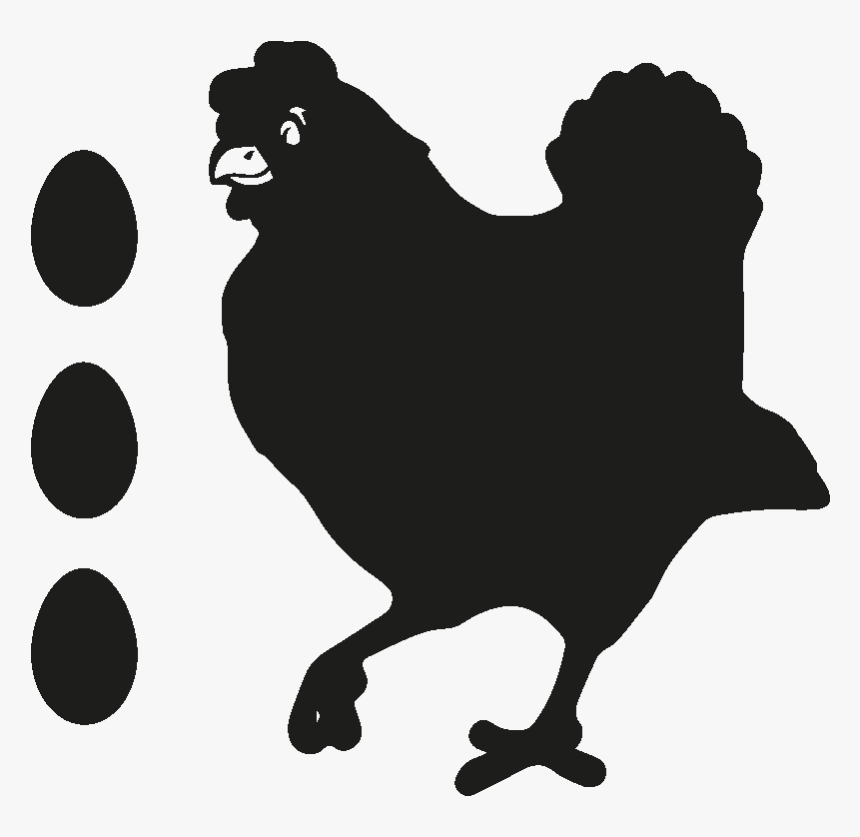 Il Mio Diario Brahma Il Creatore