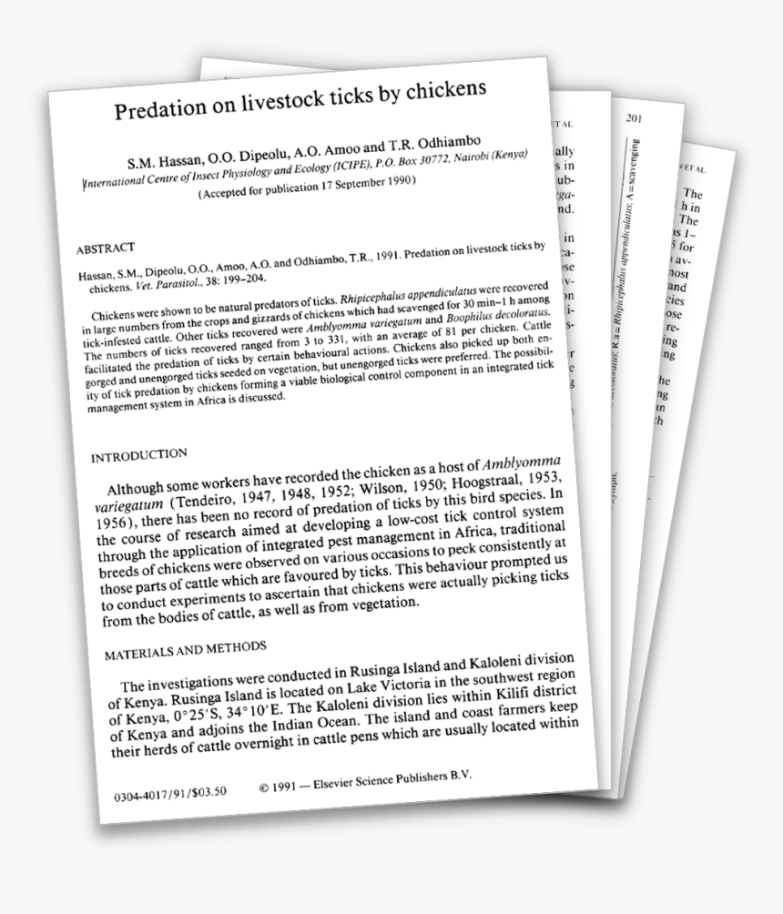 Black Tick Png, Transparent Png