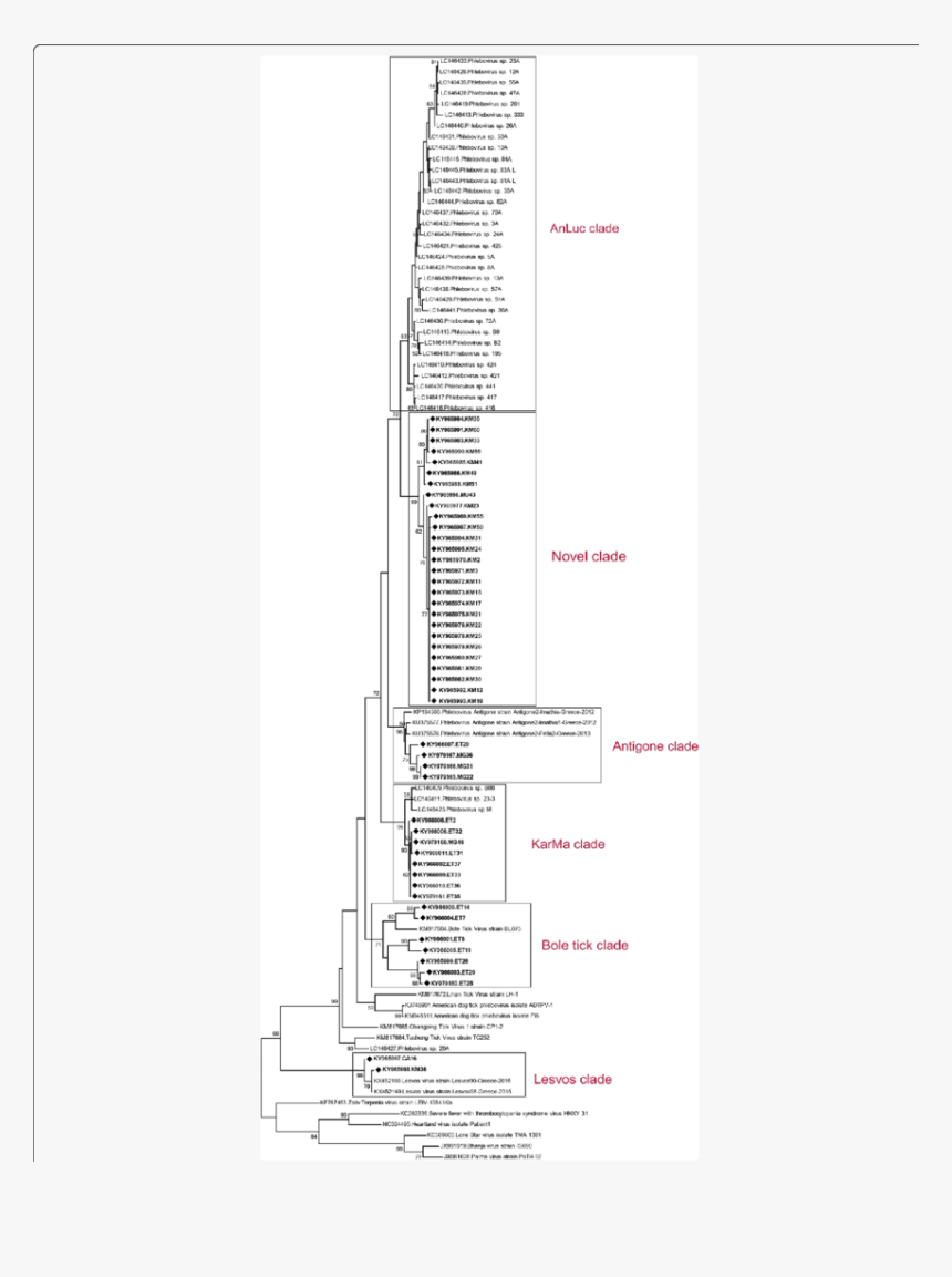 Diagram, HD Png Download