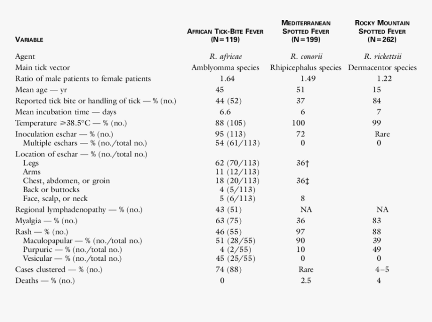 Document, HD Png Download