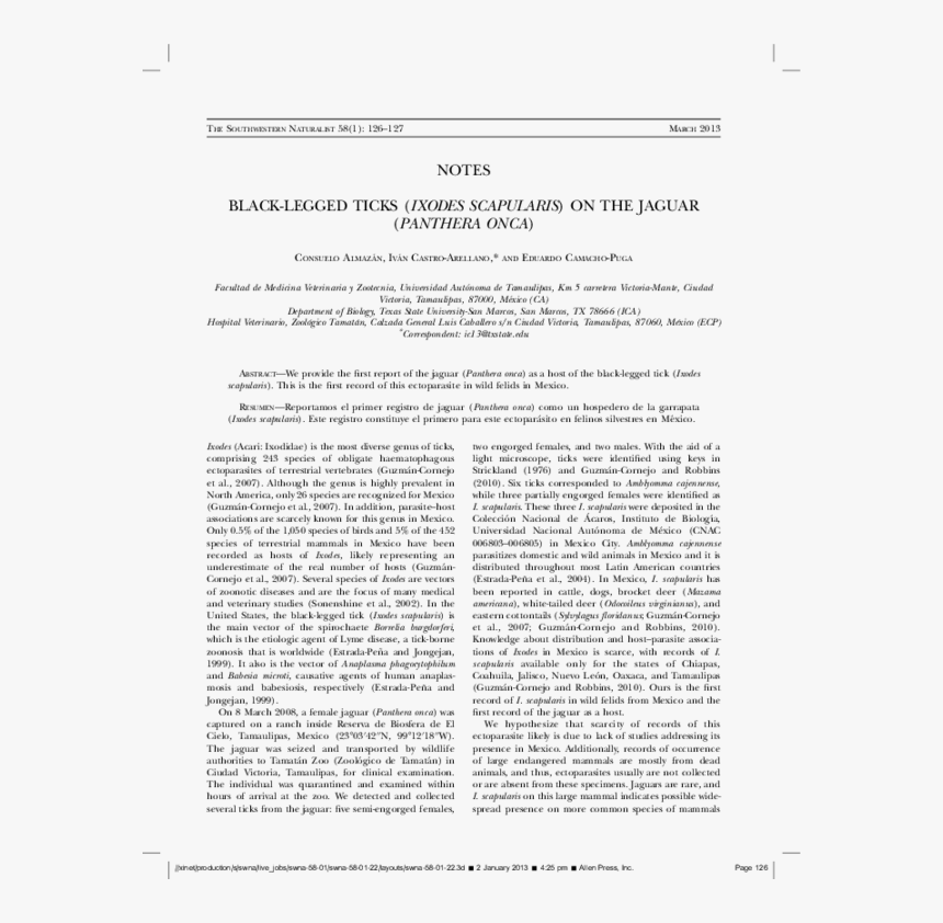 Software Developer Email Introduction, HD Png Download