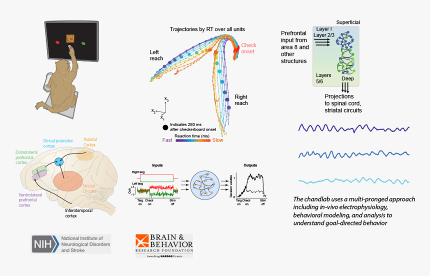 Diagram, HD Png Download