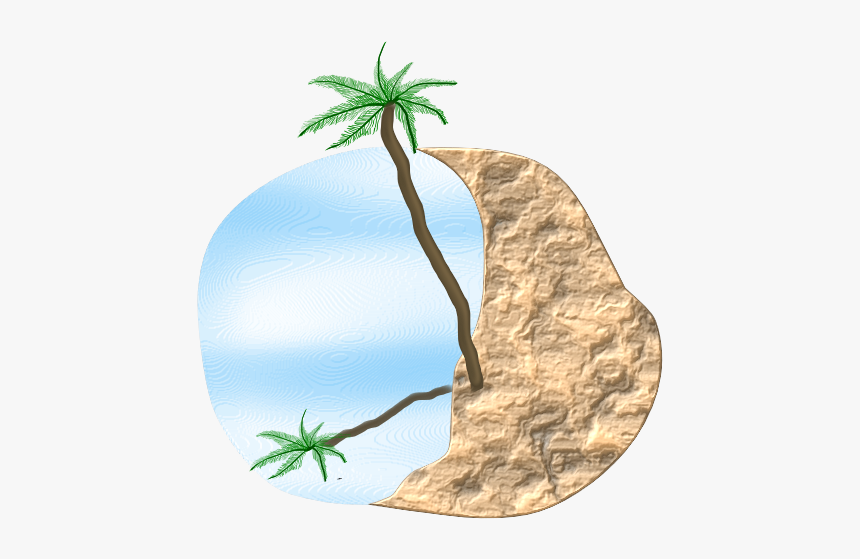 Palm Beach Svg Clip Arts - Clip Art, HD Png Download