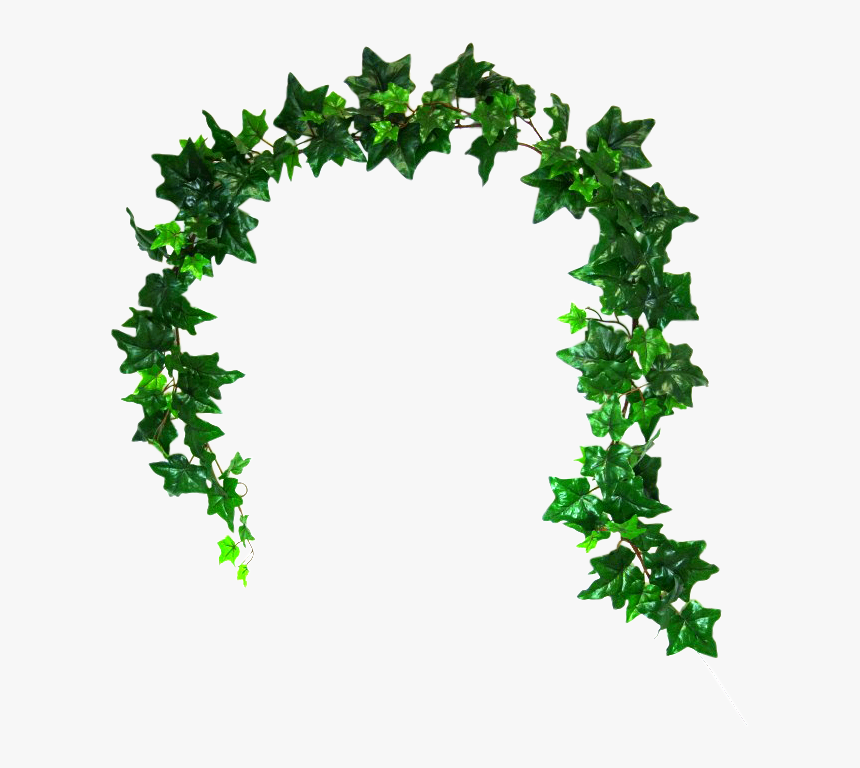 Silk Wedding Bouquets Artificial Flowers - Clip Art Of Flowers On Ivy, HD Png Download