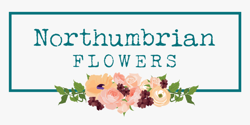 Home - Garden Roses, HD Png Download