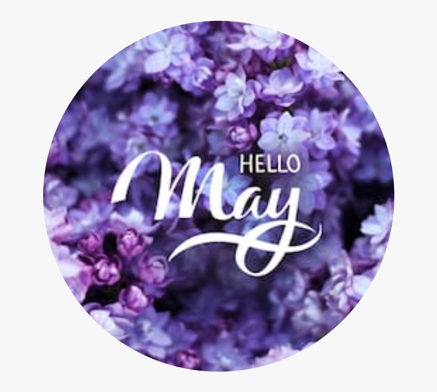 #flowers #flora #cool #may #welcome #hello #purpel - Hello May, HD Png Download