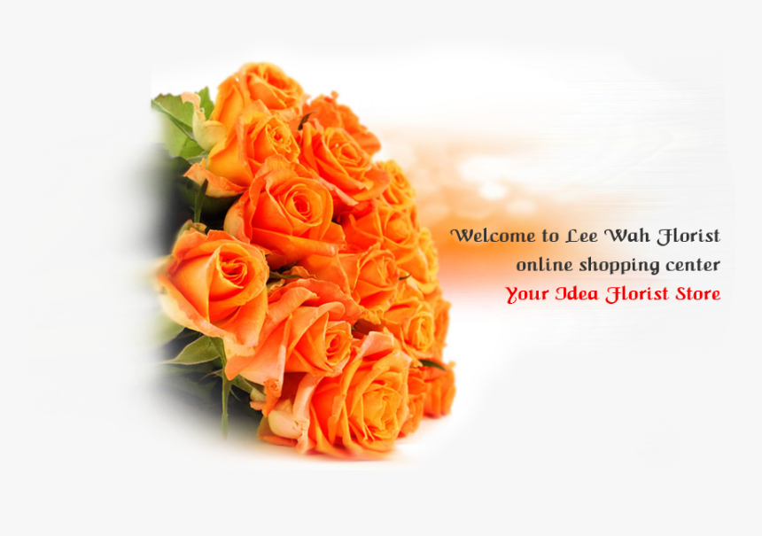 Garden Roses, HD Png Download