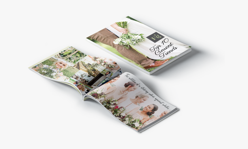 Image - Cherry Blossom, HD Png Download