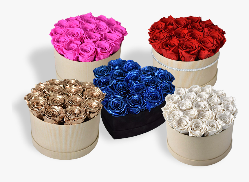 Floribunda, HD Png Download