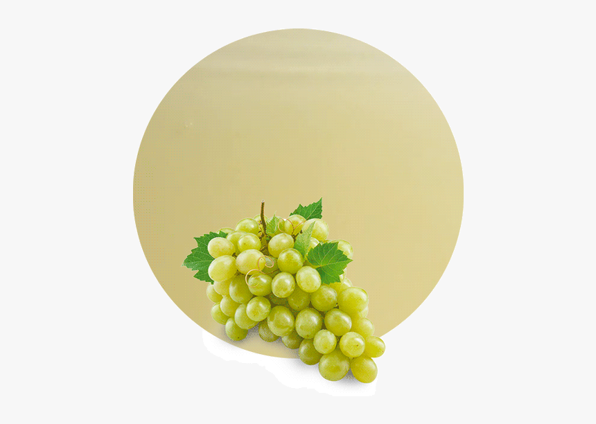 White Grape Png, Transparent Png