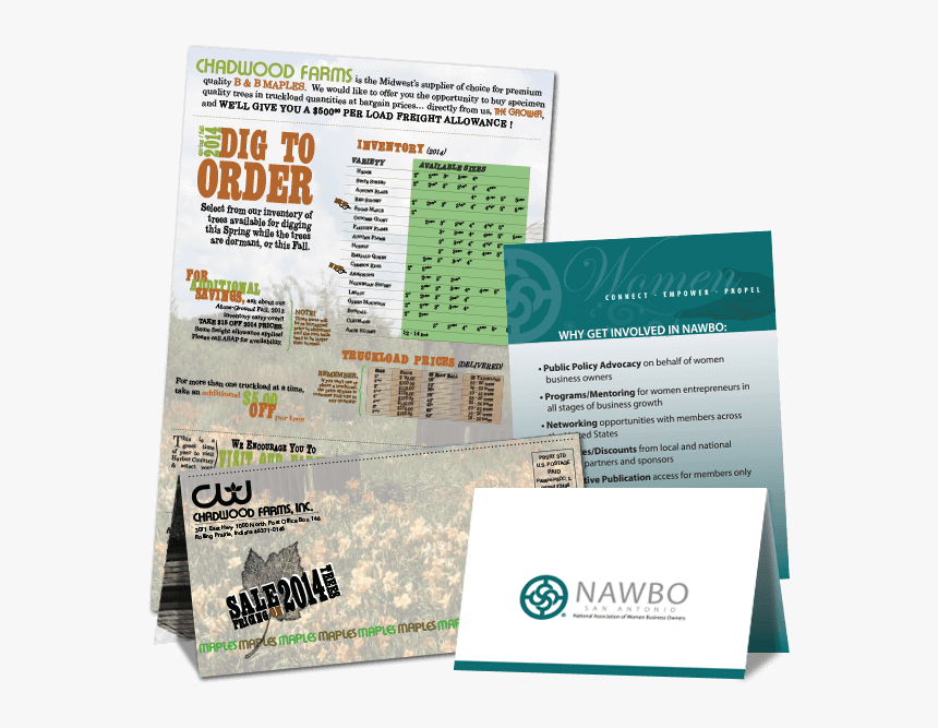 Brochure, HD Png Download