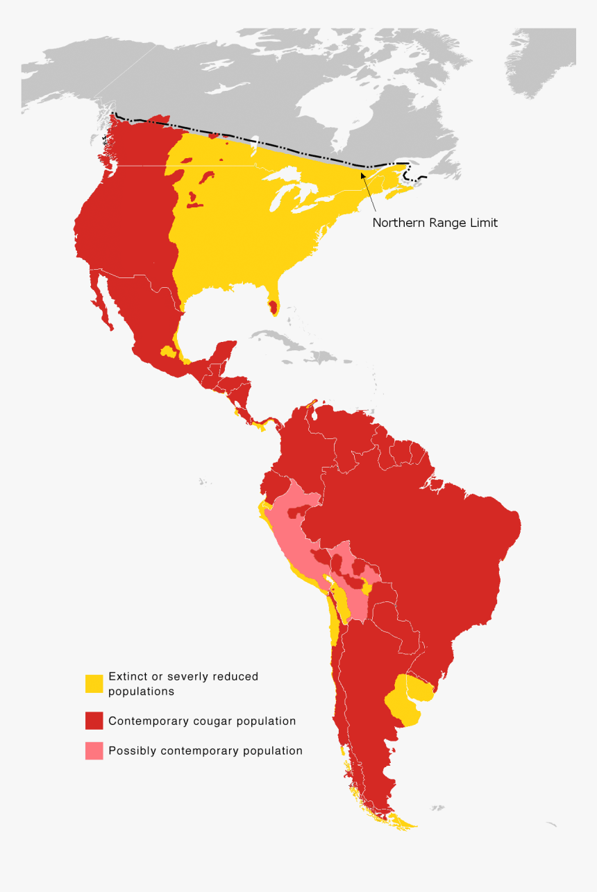 Cougar Range Map 2010 - Latin America, HD Png Download
