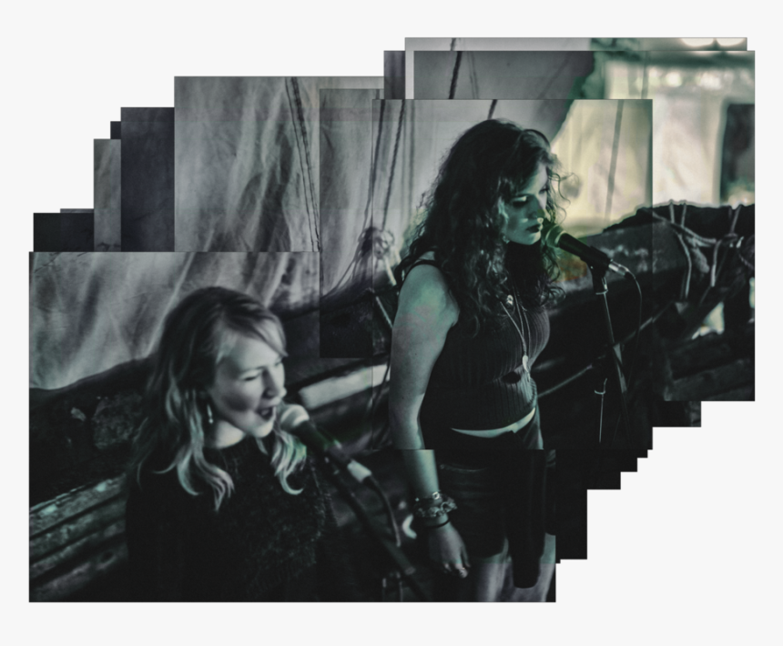 Salty Dog No Stars Salty Dog Electric Picnic 2016 4 - Girl, HD Png Download