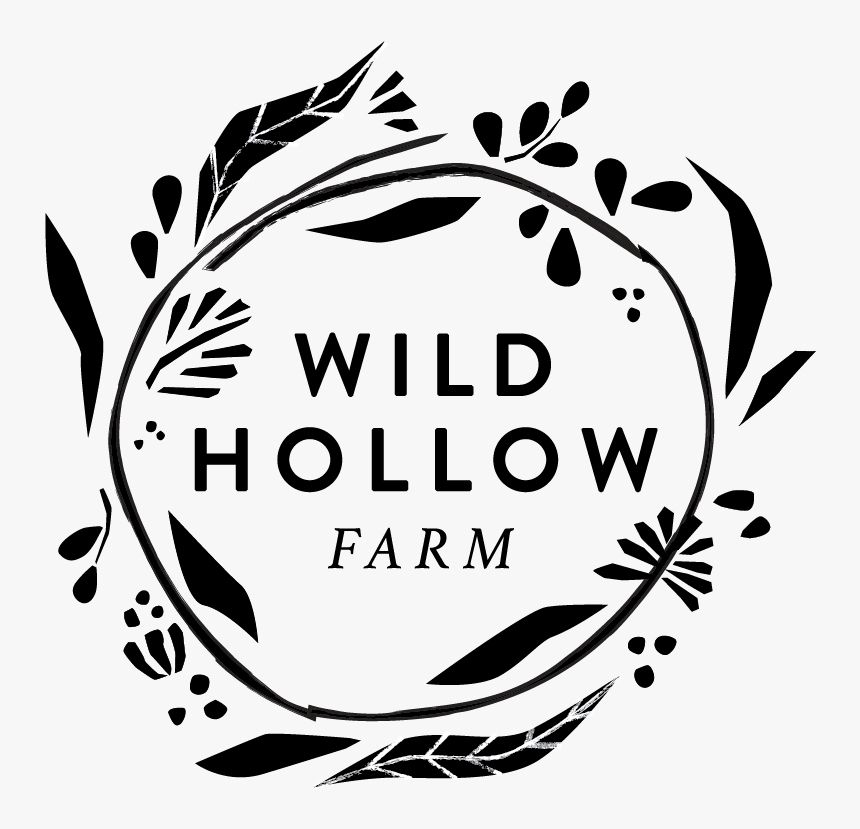 Picture, HD Png Download