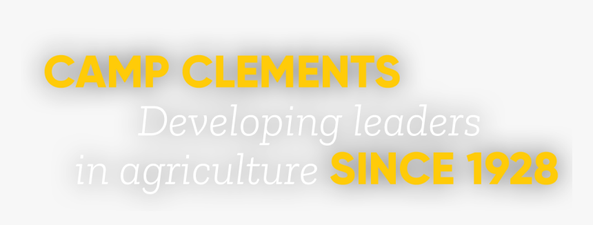 Opp2 Text - Graphics, HD Png Download