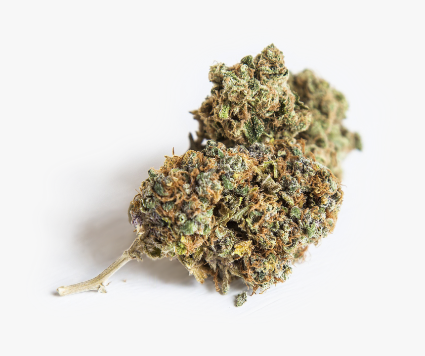 Transparent Weed Transparent Png - Bad Weed, Png Download