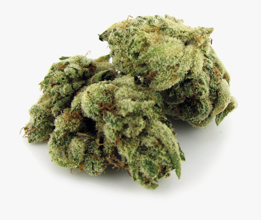 Muthia, HD Png Download