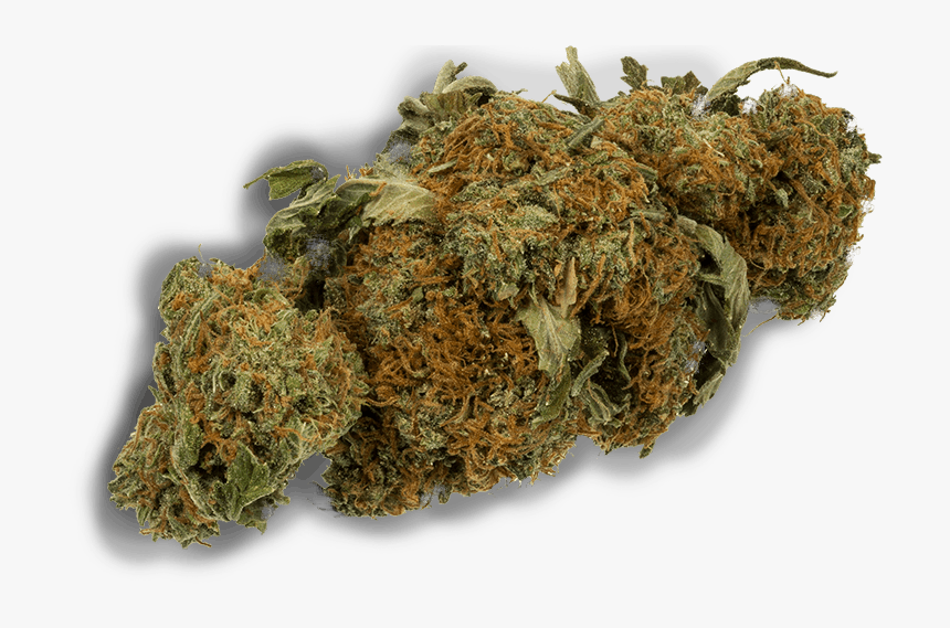 Green Society Coupon Code - Transparent Background Weed Png, Png Download