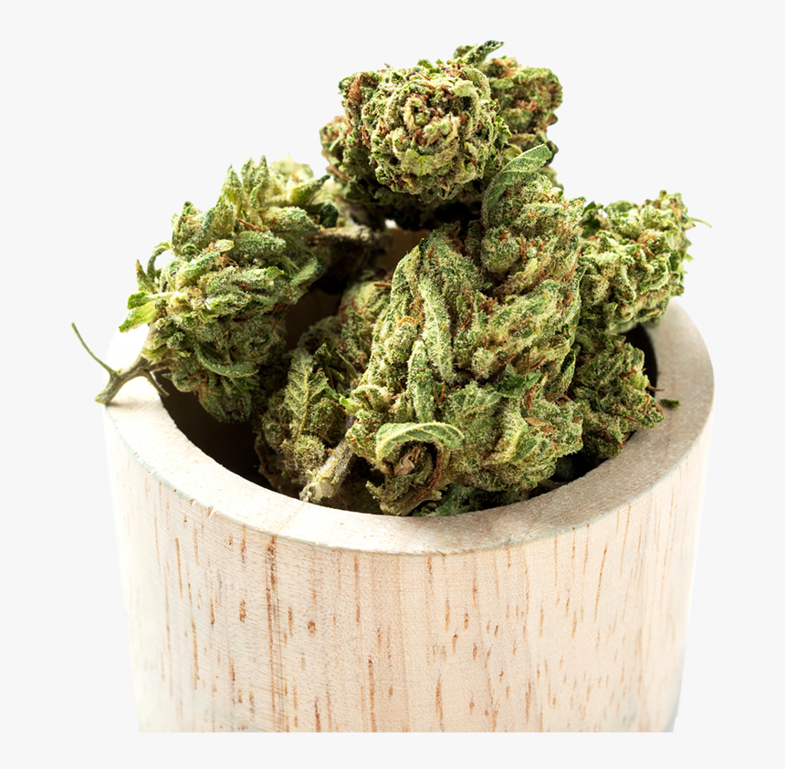Weed Buds Transparent Background, HD Png Download