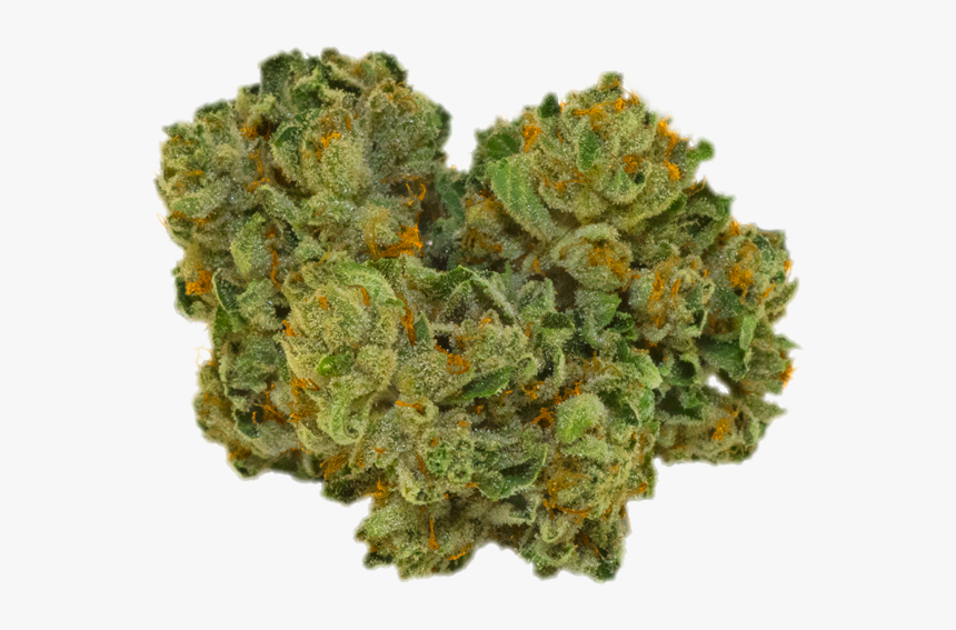 Bud, HD Png Download