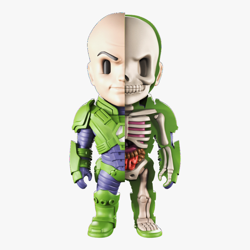 Xxray Lex Luthor - Figurine, HD Png Download