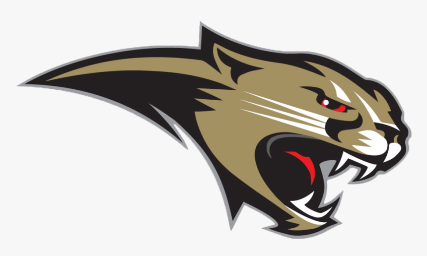 Cougar Png, Transparent Png