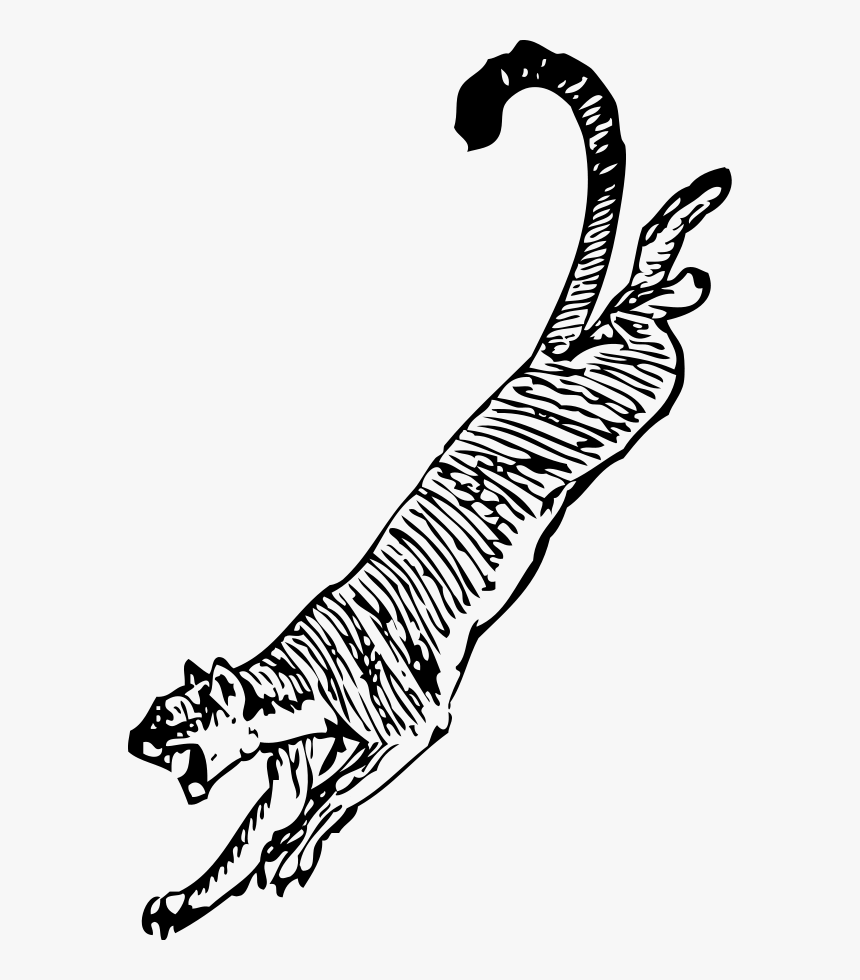 Cougar Svg Clip Arts - Cougar Clip Art, HD Png Download