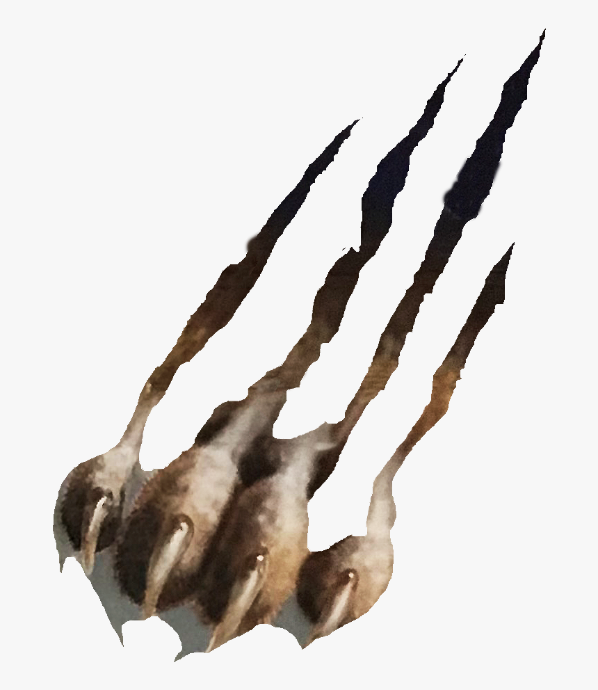 Athletics Cougar Claw - Illustration, HD Png Download