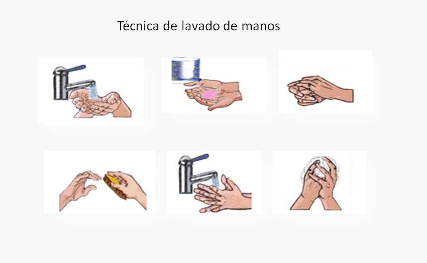 Lavado De Manos - Tecnica De Lavado De Manos Png, Transparent Png