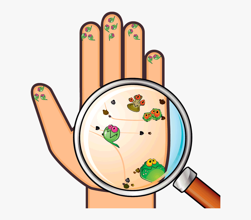 Lavado De Manos - Germs On Hands Clipart, HD Png Download