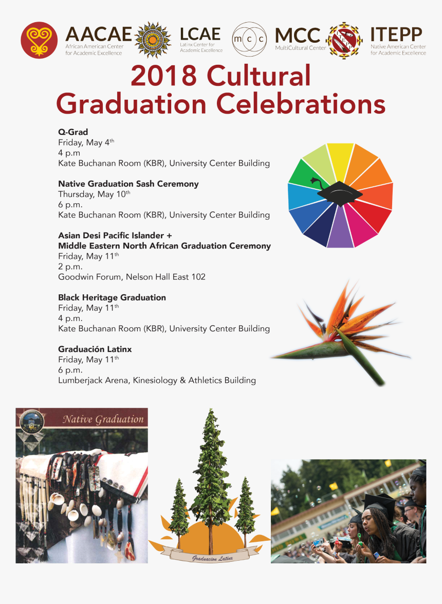 Shortleaf Black Spruce, HD Png Download