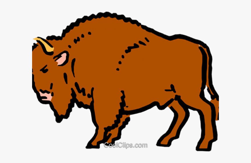 Buffalo Clipart Png - Transparent Buffalo Clipart, Png Download